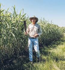 Teen founders secure $6M to revolutionize pesticides with AI — and persuade Paul Graham to come on board